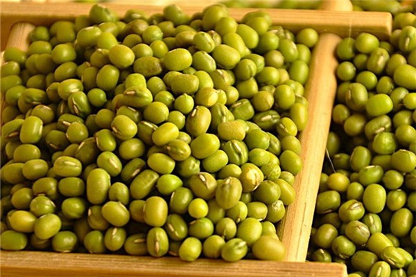 綠豆可以降血壓?jiǎn)?綠豆高血壓患者可以吃嗎 綠豆可以降血壓?jiǎn)?綠豆高血壓患者可以吃嗎