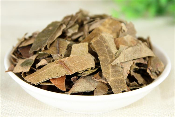 枇杷葉煮水可以加蜂蜜一起喝嗎 枇杷葉和什么一起煮止咳效果最好 枇杷葉煮水可以加蜂蜜一起喝嗎 枇杷葉和什么一起煮止咳效果最好