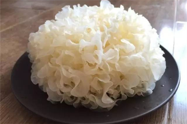 銀耳美容養(yǎng)顏嗎 銀耳會(huì)長(zhǎng)胖嗎
