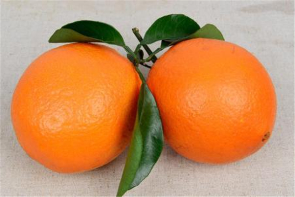 橙子和橘子的區(qū)別 橙子和橘子哪個(gè)容易上火 橙子和橘子的區(qū)別 橙子和橘子哪個(gè)容易上火