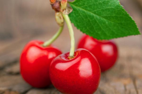 櫻桃有點苦是什么原因 櫻桃有點苦吃了有害嗎 櫻桃有點苦是什么原因 櫻桃有點苦吃了有害嗎