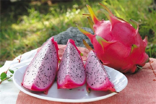 火龍果降血壓嗎 火龍果降血壓效果好嗎 火龍果降血壓嗎 火龍果降血壓效果好嗎