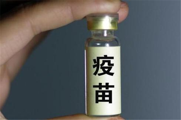 新冠疫苗到底打幾針 新冠疫苗是兩針的好還是三針的好 新冠疫苗到底打幾針 新冠疫苗是兩針的好還是三針的好