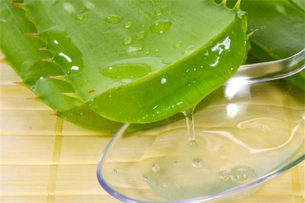 蘆薈膠淡化疤痕嗎 蘆薈膠有什么用途 蘆薈膠淡化疤痕嗎 蘆薈膠有什么用途