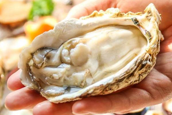 生蠔的熱量高不高 吃生蠔會(huì)不會(huì)長胖 生蠔的熱量高不高 吃生蠔會(huì)不會(huì)長胖