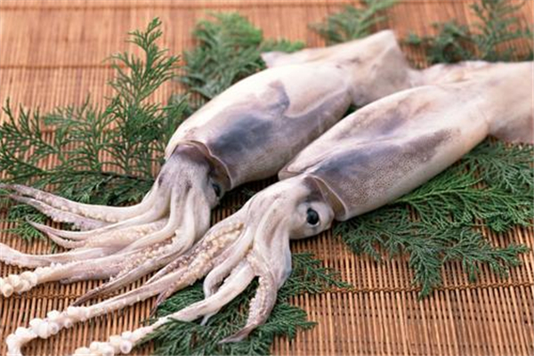 魷魚長(zhǎng)脂肪嗎 魷魚的熱量 魷魚長(zhǎng)脂肪嗎 魷魚的熱量