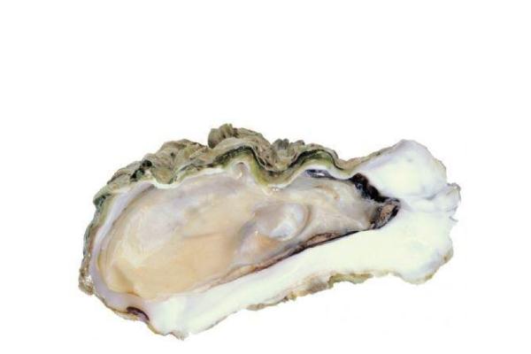 生蠔要吐沙嗎 生蠔怎么吐沙子又干凈又快 生蠔要吐沙嗎 生蠔怎么吐沙子又干凈又快