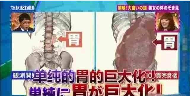 那些大胃王真的能吃那么多食物嗎 那些大胃王真的能吃那么多食物嗎