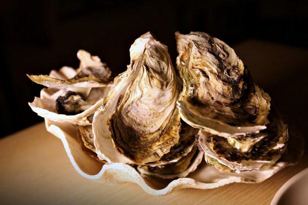 吃生蠔可以喝啤酒嗎 吃生蠔喝啤酒會(huì)怎樣 吃生蠔可以喝啤酒嗎 吃生蠔喝啤酒會(huì)怎樣