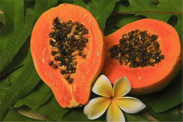 木瓜孕婦可以吃嗎 木瓜孕婦吃了有什么好處 木瓜孕婦可以吃嗎 木瓜孕婦吃了有什么好處