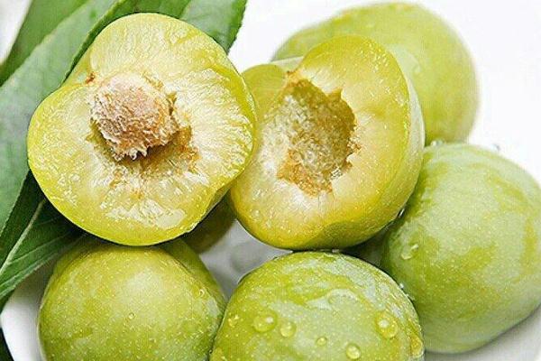 李子的熱量高不高 減肥可以吃李子嗎 李子的熱量高不高 減肥可以吃李子嗎