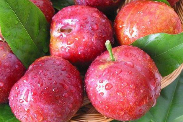 李子的種類有哪些 李子什么品種最好吃 李子的種類有哪些 李子什么品種最好吃