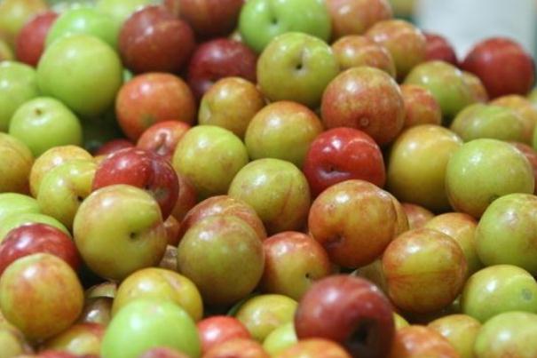 李子可以保存多久 李子可以放冰箱冷藏嗎 李子可以保存多久 李子可以放冰箱冷藏嗎