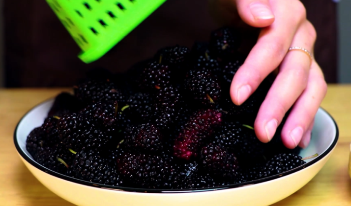 桑葚酒泡多久是最佳飲用時(shí)間 桑葚酒釀制作方法步驟