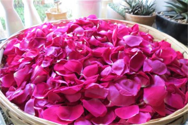 食用玫瑰有什么好處 食用玫瑰有幾種 食用玫瑰有什么好處 食用玫瑰有幾種