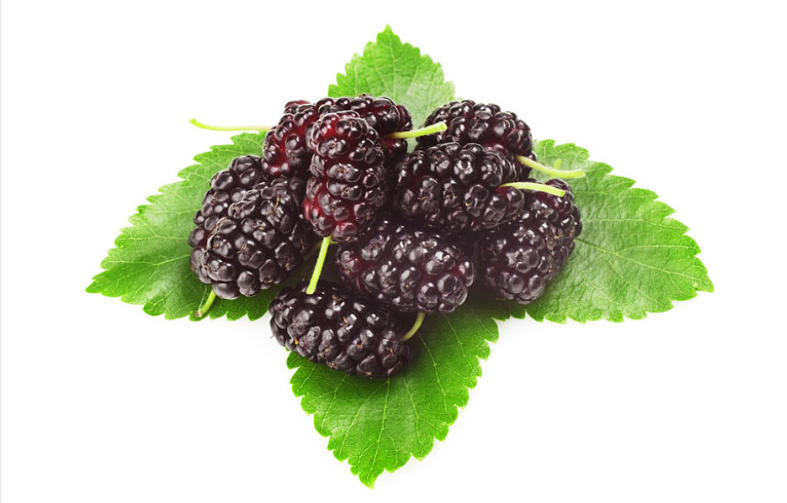 桑葚放一夜還能吃嗎 沒(méi)吃完的桑葚怎么保存