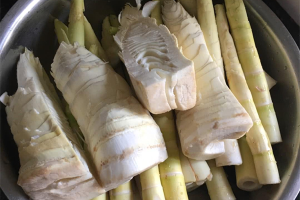 酸筍是怎么制作的 酸筍為什么那么臭 酸筍是怎么制作的 酸筍為什么那么臭