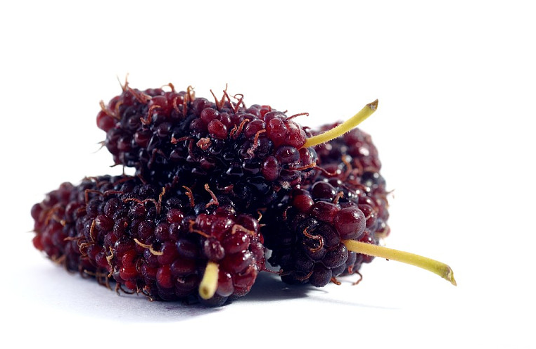 桑葚子有什么作用和功效 桑葚子泡水喝起什么作用 桑葚子有什么作用和功效 桑葚子泡水喝起什么作用