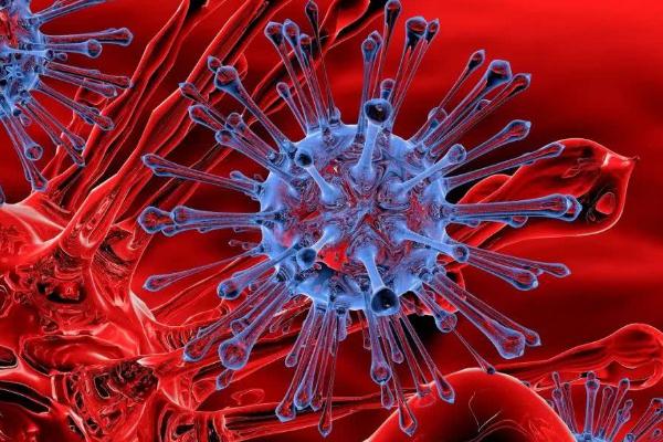 新冠病毒變異最新特征 變異新冠病毒有什么特點(diǎn) 新冠病毒變異最新特征 變異新冠病毒有什么特點(diǎn)