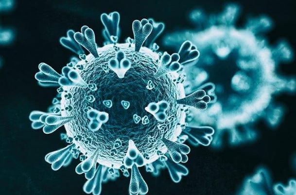 新冠病毒變異最新特征 變異新冠病毒有什么特點(diǎn) 新冠病毒變異最新特征 變異新冠病毒有什么特點(diǎn)