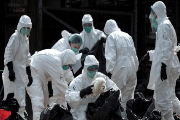 印度疫情真實(shí)情況曝光 超過一億人確診 印度疫情真實(shí)情況曝光 超過一億人確診