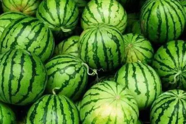 西瓜的作用與功效 西瓜的營養(yǎng)價(jià)值是什么 西瓜的作用與功效 西瓜的營養(yǎng)價(jià)值是什么