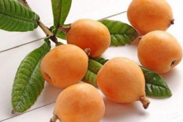 枇杷有什么功效和作用 枇杷的營(yíng)養(yǎng)價(jià)值 枇杷有什么功效和作用 枇杷的營(yíng)養(yǎng)價(jià)值