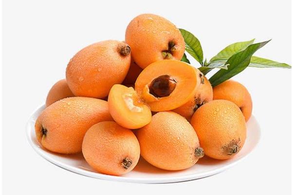 枇杷有多少種品種 什么品種的枇杷最好吃 枇杷有多少種品種 什么品種的枇杷最好吃