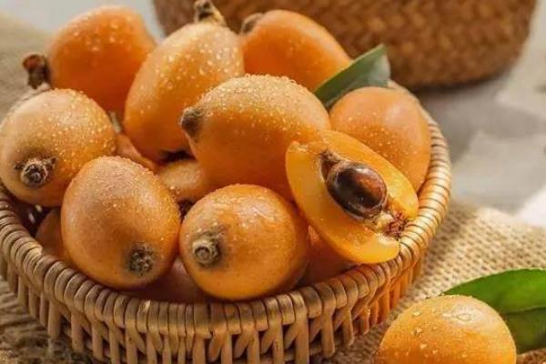 枇杷可以保存多久 吃枇杷的注意事項 枇杷可以保存多久 吃枇杷的注意事項