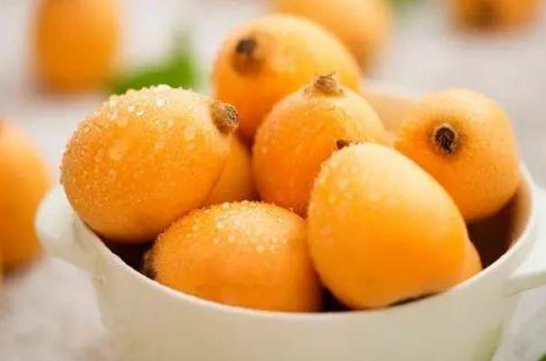 枇杷有什么功效和作用 枇杷的營(yíng)養(yǎng)價(jià)值 枇杷有什么功效和作用 枇杷的營(yíng)養(yǎng)價(jià)值