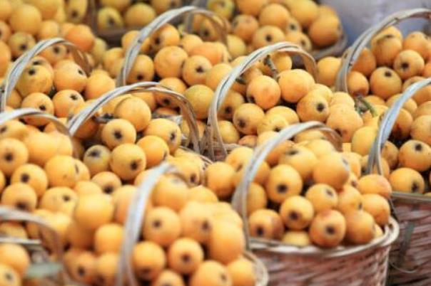 枇杷和什么不能同時(shí)食用 枇杷的飲食禁忌 枇杷和什么不能同時(shí)食用 枇杷的飲食禁忌