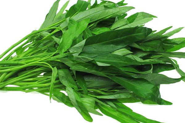 空心菜有毒嗎 為什么說空心菜有毒 空心菜有毒嗎 為什么說空心菜有毒