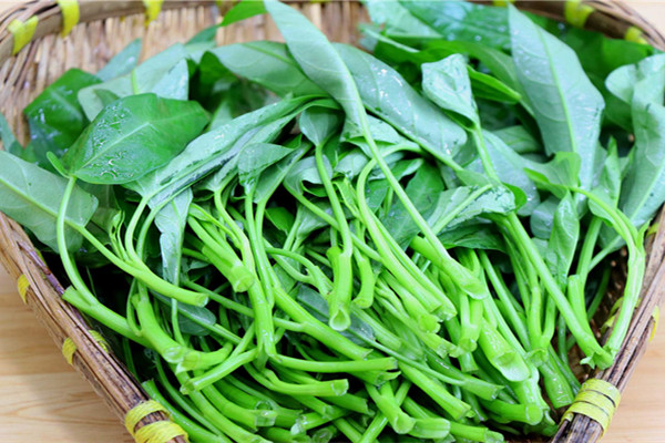 空心菜有毒嗎 為什么說空心菜有毒 空心菜有毒嗎 為什么說空心菜有毒
