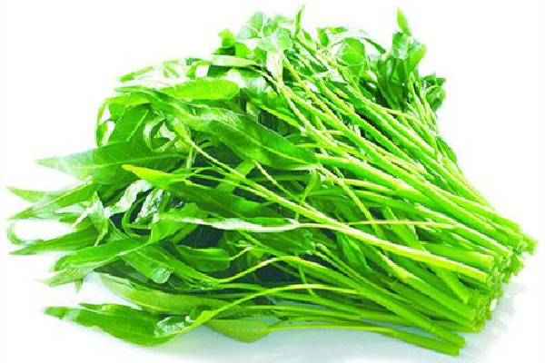 吃空心菜會腹瀉嗎 空心菜胃不好的可以吃嗎 吃空心菜會腹瀉嗎 空心菜胃不好的可以吃嗎