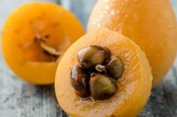 枇杷核的藥用價值 枇杷核有毒嗎 枇杷核的藥用價值 枇杷核有毒嗎