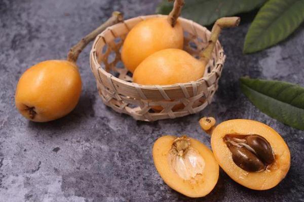 枇杷核的藥用價值 枇杷核有毒嗎 枇杷核的藥用價值 枇杷核有毒嗎