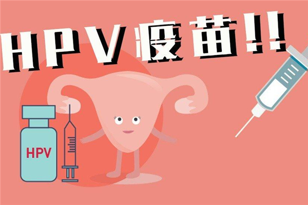 hpv疫苗是宮頸癌疫苗嗎 hpv疫苗和宮頸癌疫苗有什么區(qū)別 hpv疫苗是宮頸癌疫苗嗎 hpv疫苗和宮頸癌疫苗有什么區(qū)別