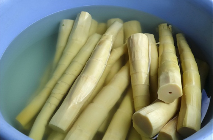 竹筍是發(fā)物的食物嗎 什么樣的人不宜吃竹筍 竹筍是發(fā)物的食物嗎 什么樣的人不宜吃竹筍