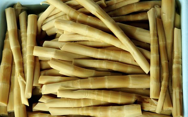 竹筍是發(fā)物的食物嗎 什么樣的人不宜吃竹筍 竹筍是發(fā)物的食物嗎 什么樣的人不宜吃竹筍
