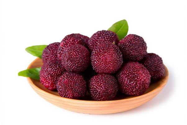 楊梅有哪些品種 楊梅有酒精含量嗎 楊梅有哪些品種 楊梅有酒精含量嗎