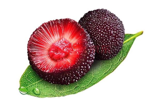 楊梅如何清洗 楊梅怎么洗蟲子能出來 楊梅如何清洗 楊梅怎么洗蟲子能出來