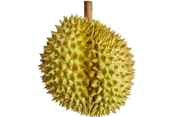 榴蓮可以緩解痛經(jīng)么 榴蓮可以放多長時間 榴蓮可以緩解痛經(jīng)么 榴蓮可以放多長時間