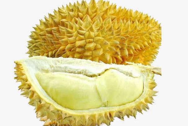 榴蓮可以緩解痛經(jīng)么 榴蓮可以放多長時間 榴蓮可以緩解痛經(jīng)么 榴蓮可以放多長時間