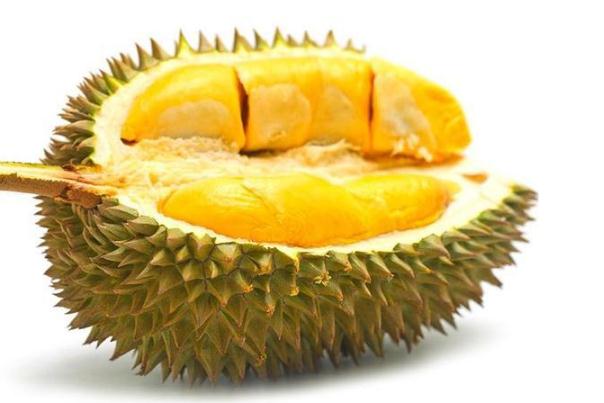 榴蓮要怎么存放 榴蓮要放冰箱嗎 榴蓮要怎么存放 榴蓮要放冰箱嗎