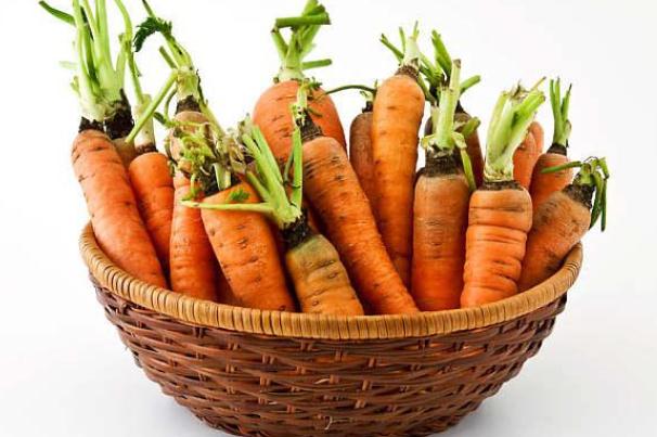 胡蘿卜有幾種顏色 胡蘿卜的常見(jiàn)品種 胡蘿卜有幾種顏色 胡蘿卜的常見(jiàn)品種