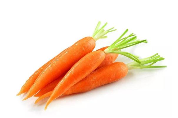 胡蘿卜有幾種顏色 胡蘿卜的常見(jiàn)品種 胡蘿卜有幾種顏色 胡蘿卜的常見(jiàn)品種