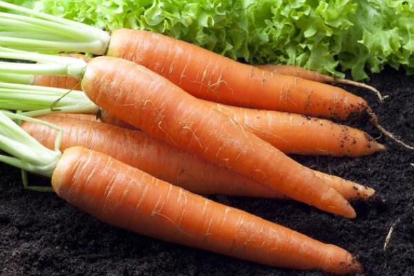 胡蘿卜要不要削皮 胡蘿卜必須過油才有營(yíng)養(yǎng)嗎 胡蘿卜要不要削皮 胡蘿卜必須過油才有營(yíng)養(yǎng)嗎