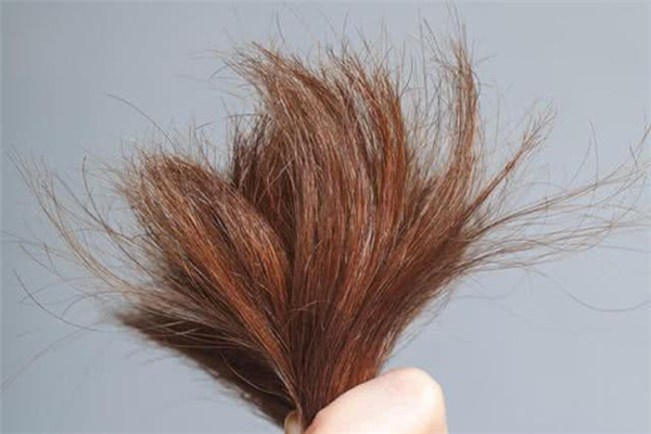 頭發(fā)有分叉怎么辦 頭發(fā)有分叉怎么護理