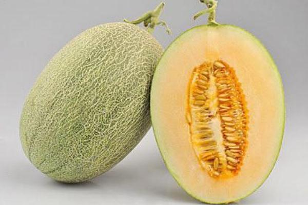 哈密瓜的糖分高嗎 哈密瓜吃了會胖嗎 哈密瓜的糖分高嗎 哈密瓜吃了會胖嗎