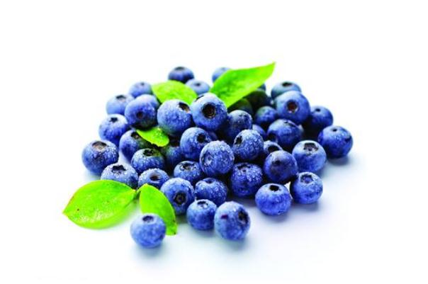 藍莓有啥營養(yǎng) 藍莓有什么用 藍莓有啥營養(yǎng) 藍莓有什么用